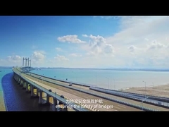 AC220V 50Hz Sistema de pesos em movimento IP68 Identificador de sobrepeso